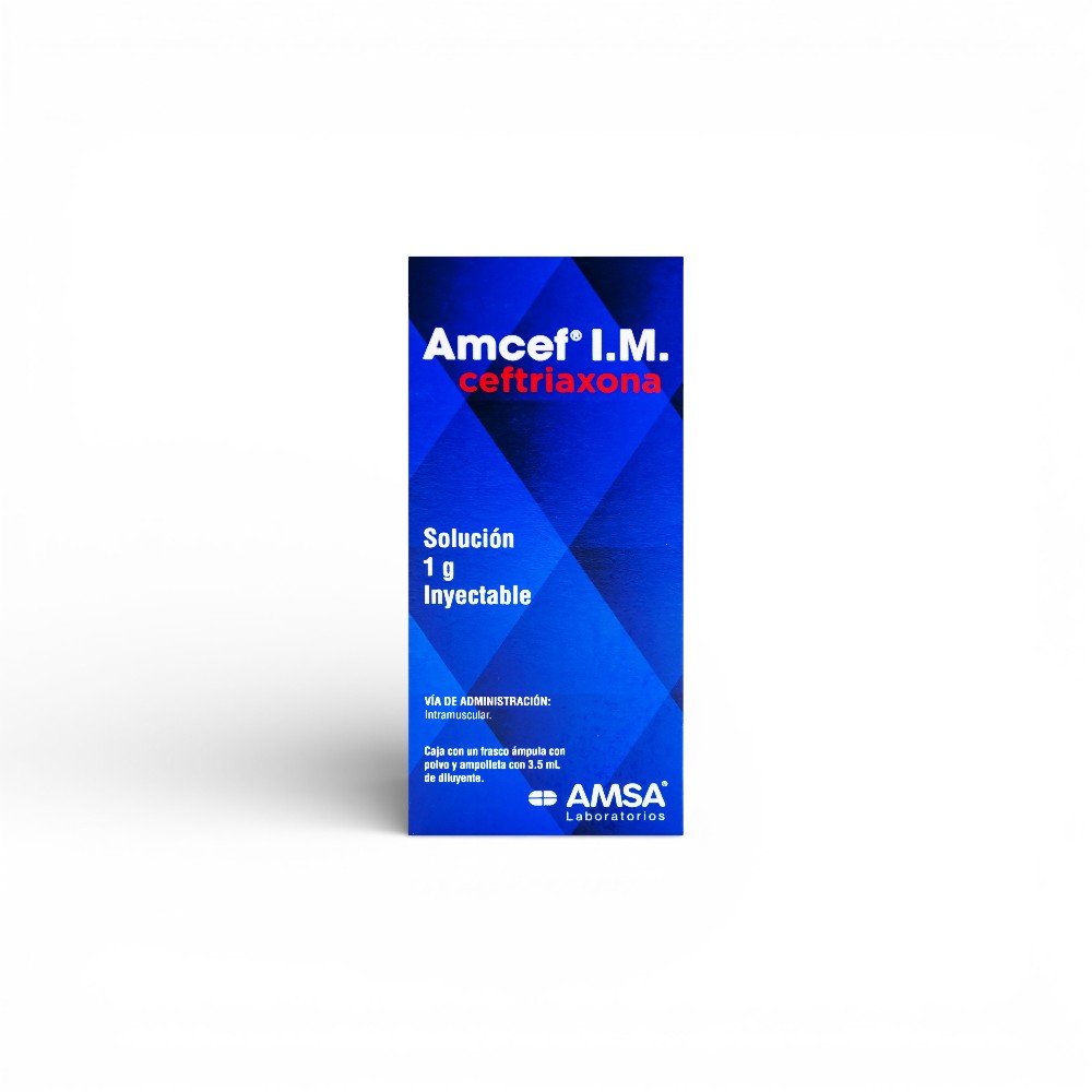 Amcef I.M. 1 g