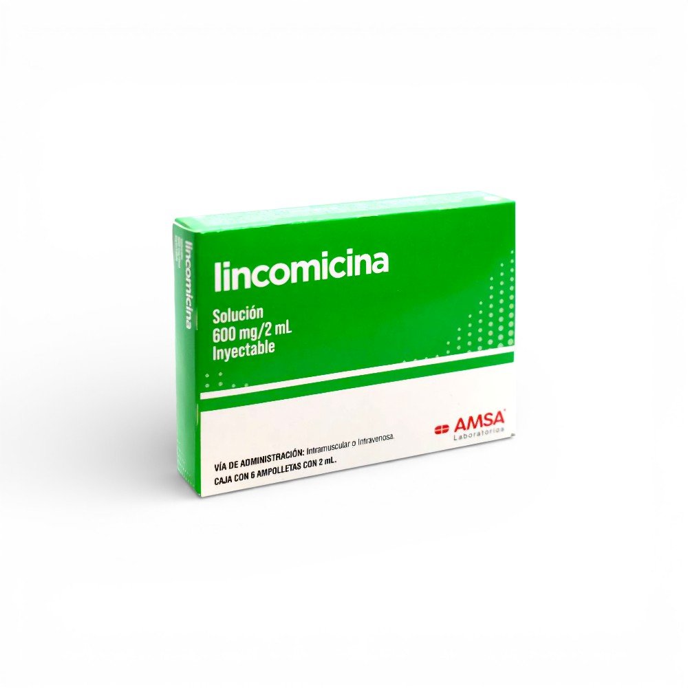 Lincomicina 600 mg 6 ampolletas